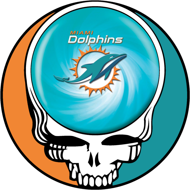 Miami Dolphins skull logo DIY iron on transfer (heat transfer)